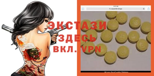 СК Алексин