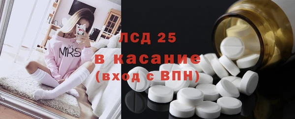 хмурый Новозыбков