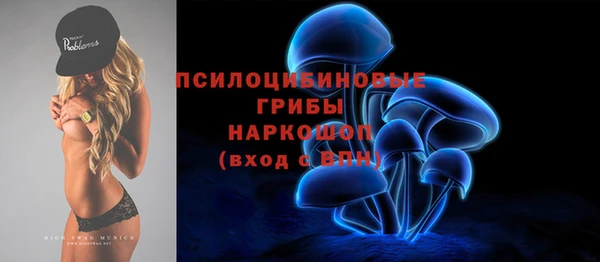 МДПВ Алзамай