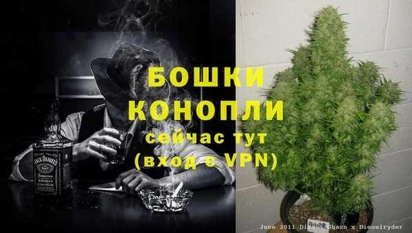 хмурый Новозыбков