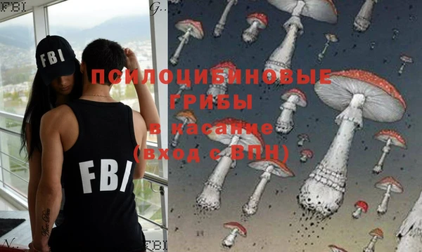 ГАЛЛЮЦИНОГЕННЫЕ ГРИБЫ Алексеевка