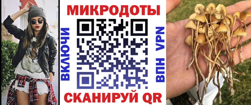 Галлюциногенные грибы Psilocybe  купить наркотик  Владивосток 